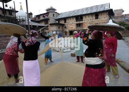 Nepalesische Frauen Dreschen von Getreide in der traditionellen Art und Weise in den Innenhof des Rato Machhendranath Tempel der Schutzgott von Patan im Dorf Bungamati eine traditionelle Newar Stadt in Kathmandu, Nepal. Stockfoto