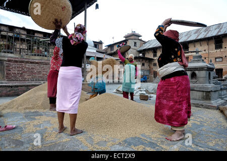 Nepalesische Frauen Dreschen von Getreide in der traditionellen Art und Weise in den Innenhof des Rato Machhendranath Tempel der Schutzgott von Patan im Dorf Bungamati eine traditionelle Newar Stadt in Kathmandu, Nepal. Stockfoto