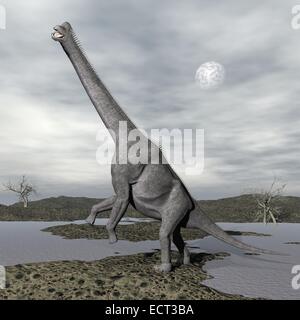 Ein Brachiosaurus Dinosaurier in der Natur durch graue trübe Nacht mit Vollmond Stockfoto