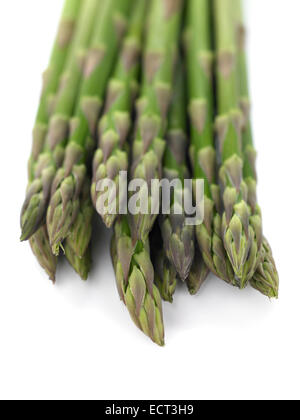 Spargel Stockfoto