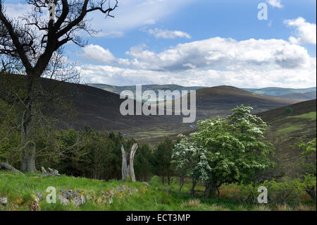 In Richtung Loch Muick auf dem Glen Girnock Weg vom Littlemill, die verlassenen Bovaglie auf dem Bauernhof zwischen Balmoral und Ballater Stockfoto