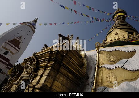 Affen auf der alten Swayambhu Stupa in Kathmandu-Nepal Stockfoto