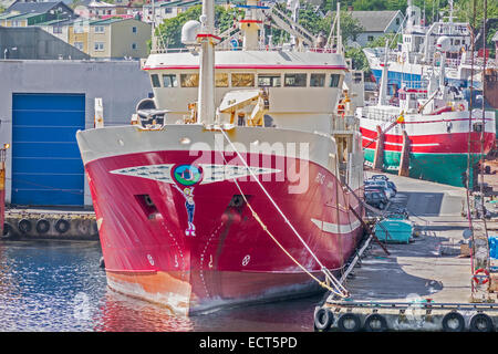 Angelboote/Fischerboote im Hafen Torshavn Färöer gefesselt Stockfoto