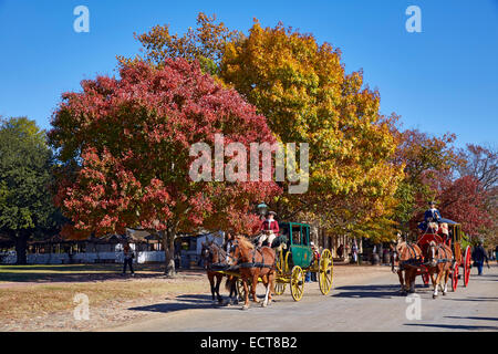 Pferdekutschen auf Duke of Gloucester Street. Colonial Williamsburg, Virginia, USA. Stockfoto