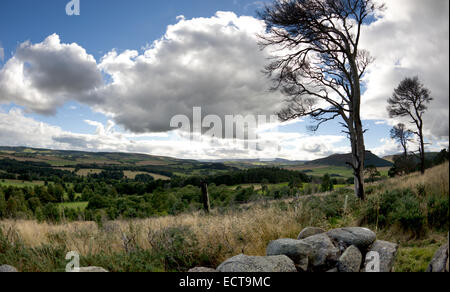 malerischen weiten Panorama aus der Sicht auf Craigfall Hügel auf der Leith Hall Estate in Aberdeenshire. Stockfoto