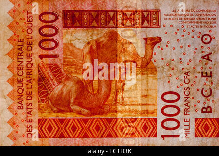 Côte d ' Ivoire 1000 ein tausend Franken Banknote Côte d ' Ivoire Stockfoto