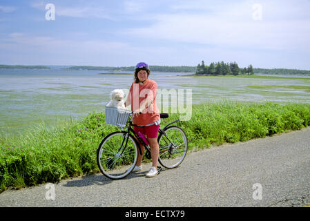 Frau mit dem Fahrrad mit einem kleinen Hund in einen Korb. Stockfoto