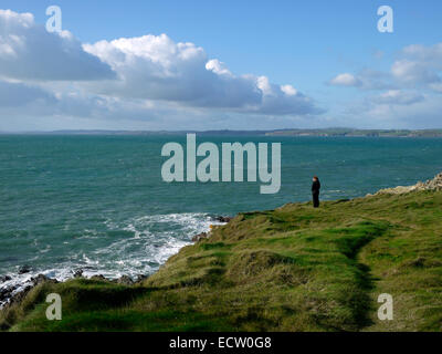 Rosscarbery Bucht von in der Nähe von Galeere Kopf, County Cork, Irland. Stockfoto