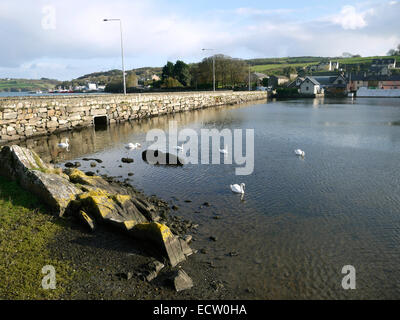Straße Damm in der Nähe von Unionhall, Glandore Harbour, County Cork, Irland. Stockfoto