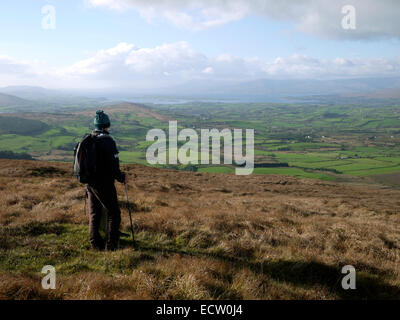 Ein Wanderer auf dem Weg Mullaghmesha Schleife, County Cork, Irland.  In der Ferne ist Bantry Bay und die Caha Berge. Stockfoto