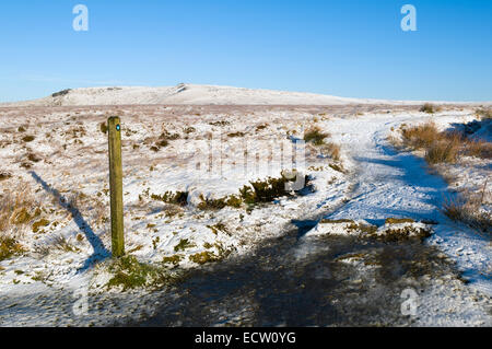 Marker post an Kreuzung der Pennine Way und des Arztes Tor Pfade, Bleaklow Hügel hinter. In der Nähe von Glossop, Derbyshire, England, UK Stockfoto