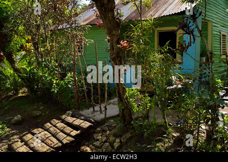 Tropische Pflanze Zaun auf dem Hof von einem grünen Holzhaus in ländlichen Dominikanische Republik Stockfoto