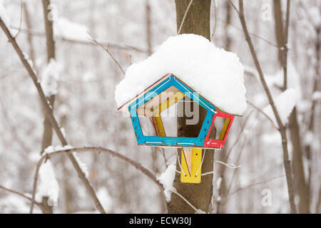 Futterhäuschen hängt an einem Ast im Winterwald. Stockfoto