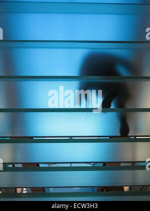 Glastreppe Apple Store in SoHo, NYC Stockfoto