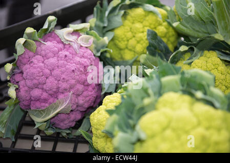 Verschiedene Arten von Gemüse in einem Straßenmarkt in Union Square, Manhattan, New York City, NY, USA. Stockfoto