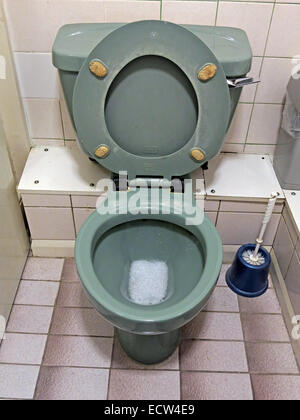 Klassische 1970s 1980s grüne Avocado Bad WC aus England, Großbritannien Stockfoto