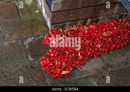 Blut Mehrfrequenzdarstellung Lands & Meere rot - detail Stockfoto