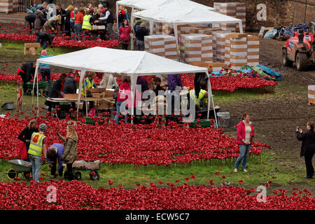 Freiwillige clearing der Kunstinstallation Blut Mehrfrequenzdarstellung Lands & See rot an der Tower of London Stockfoto
