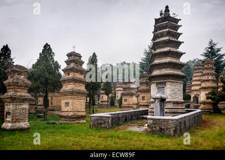 Lizenz verfügbar unter MaximImages.com - The Shaolin Temple Pagoda Forest Graveyard in Dengfeng, Zhengzhou, Henan Province, China 2014 Stockfoto