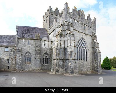 Holycross Abbey. County Tipperary in Irland. Stockfoto