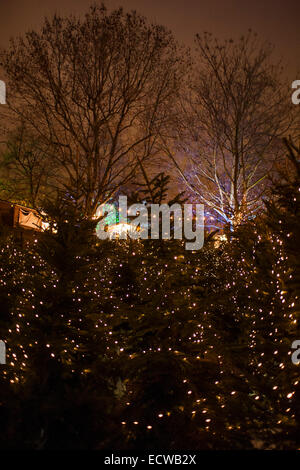 London, UK. 18. Dezember 2014. Ein Labyrinth aus 300 Blaufichten Weihnachtsbäume vom Schwarzwald. Southbank Winter Festival, London, UK. © Guy Bell/Alamy Live-Nachrichten Stockfoto