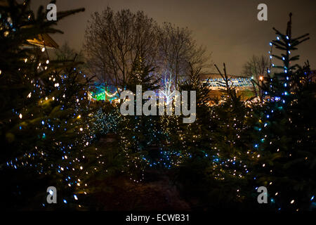 London, UK. 18. Dezember 2014. Ein Labyrinth aus 300 Blaufichten Weihnachtsbäume vom Schwarzwald. Southbank Winter Festival, London, UK. © Guy Bell/Alamy Live-Nachrichten Stockfoto