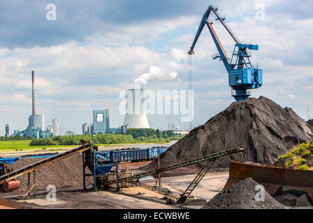 Kohle, laden im Hafen Orsoy am Rhein, gegenüber von Duisburg-Walsum, Stockfoto