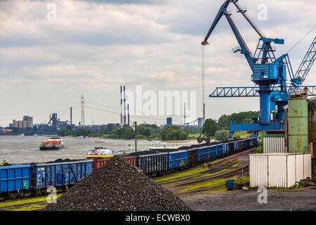 Kohle, laden im Hafen Orsoy am Rhein, gegenüber von Duisburg-Walsum, Stockfoto