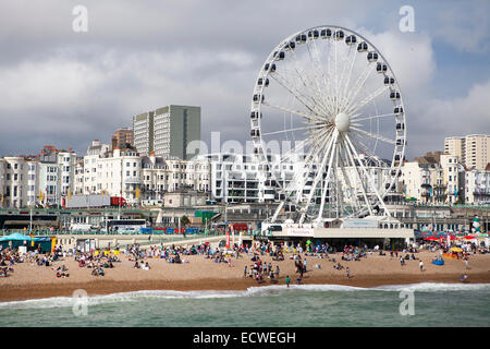 BRIGHTON UK - Okt 20: Das Rad von Brighton in Brighton UK am 20. Oktober 2013. Das Rad wurde errichtet und verfügt derzeit über Berechtigung zum o Stockfoto