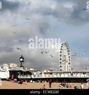 BRIGHTON UK - Okt 20: Das Rad von Brighton in Brighton UK am 20. Oktober 2013. Das Rad wurde errichtet und verfügt derzeit über Berechtigung zum o Stockfoto