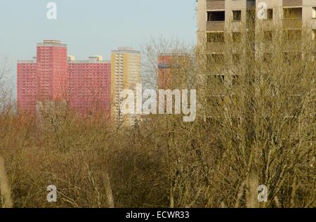 Blick auf Tower Blocks vom Sighthill Park in Glasgow, Schottland Stockfoto