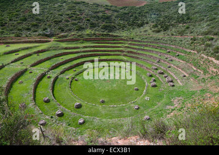 Ruinen von Moray in Peru im Heiligen Tal Stockfoto