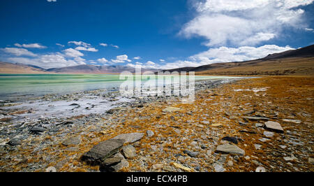 Genommen @Tso Kar, Ladakh, Leh, Jammu und Kaschmir, Indien Stockfoto