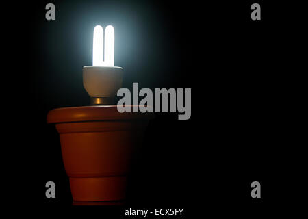 Strom CFL Lampe niemand Stockfoto