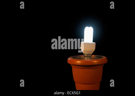 Strom CFL Lampe niemand Stockfoto