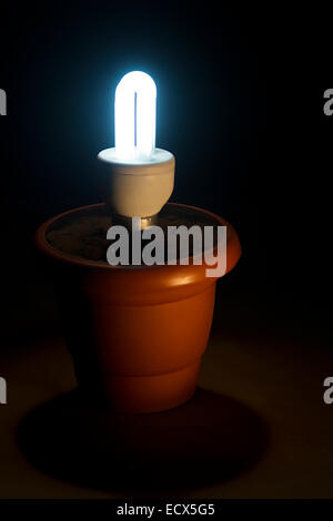 Strom CFL Lampe niemand Stockfoto