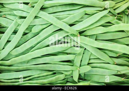 Ein Haufen grüne geschlossene Erbsenschoten Stockfoto