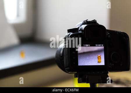 Innenaufnahmen ein Foto von einem gelben Gummibärchen mit einem schwarzen DSLR (Rückseite der Kamera) Stockfoto