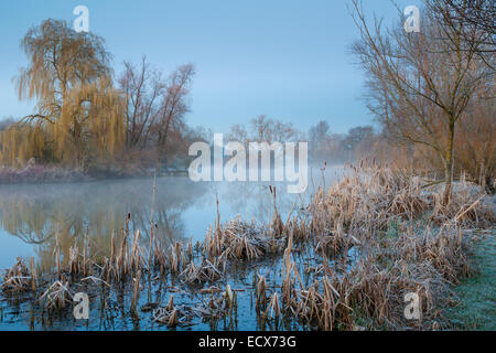 Frostiger Morgen im zeitigen Frühjahr an einem Teich in West Sussex, England. Stockfoto