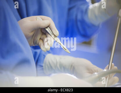 Reife Chirurg mit Skalpell während der Operation Stockfoto
