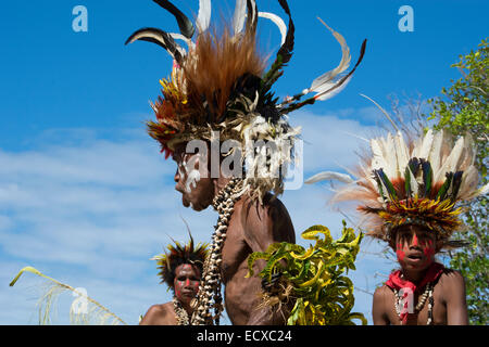 Melanesien, Papua Neu Guinea, Tufi. Traditionelle willkommen Sing-Sing-Tanz mit Dorfbewohnern in kunstvollen tropischer Vogelfedern gekleidet. Stockfoto