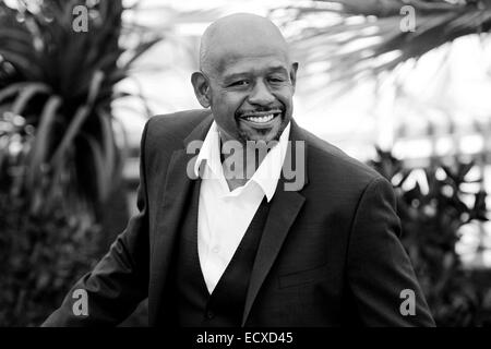 CANNES, Frankreich - 26.Mai: Schauspieler Forest Whitaker besucht den Fototermin "Zulu" während der 66. Filmfestspiele von Cannes am 26. Mai, Stockfoto