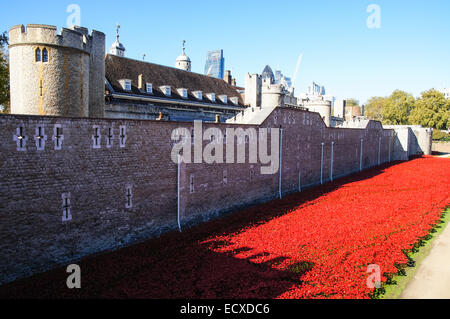 Tower von London Mohn, London England Vereinigtes Königreich UK Stockfoto