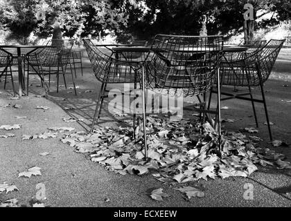 Bath Somerset England UK Garten des Holburne Museums im Herbst Stockfoto