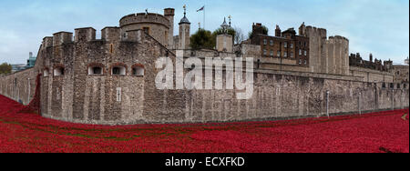 Panorama-Bild der Tower of London, umgeben von Mohnblumen. Stockfoto