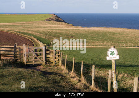 Cleveland Weg Fußweg auf alten Nab nahe Staithes, North Yorkshire, England, UK Stockfoto