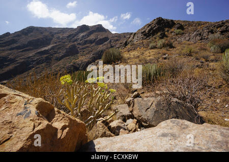 Gran Canaria - Presa del Parralillo Damm in den Bergen. Bergkulisse neben der Staumauer. Stockfoto