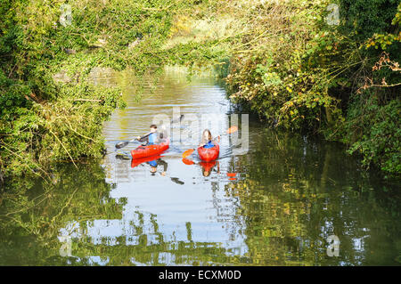 Menschen, die auf dem Fluss Cam in Cambridge Cambridgeshire England Großbritannien Kajak fahren Stockfoto