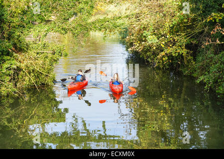 Menschen, die auf dem Fluss Cam in Cambridge Cambridgeshire England Großbritannien Kajak fahren Stockfoto