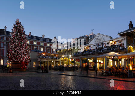 Covent Garden Piazza mit Weihnachtsbaum bei Dämmerung, London, England, Vereinigtes Königreich Stockfoto